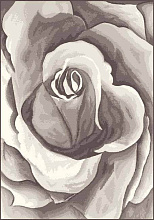 Ковер-циновка с цветами STAR 1380 72