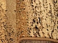  STANDARD SPINEL beige