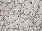 SILVER F389 GRAY