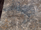 SERENITY D769 BEIGE