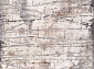 ARMINA 03802A GREY / BROWN