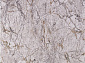 CREANTE 19155 095 GREY