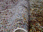 CRYSTAL C029 MULTICOLOR