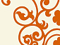 VISION DELUXE V805 CREAM-ORANGE