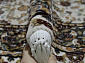 SHAHREZA d203 CREAM-BROWN Овал