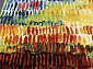 CRYSTAL 2787 MULTICOLOR
