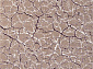 REGINA O0271 050 PURPLE