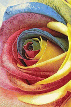 HUNNU R Роза 6A1857 175