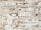 ANTEP O1703 665 CREAM / VIZON