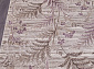REGINA O0284 050 PURPLE