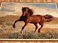 HUNNU сувенирный 6S1137 122 скакун