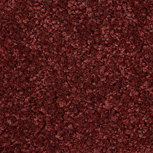 Ковровая дорожка Echo Echo 445 V