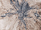 STAR P0395 M.IVORY / D.BLUE