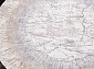MODA 9805 ACIK GRI Круг