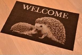 Грязезащитный коврик Modemo 100137 ежики