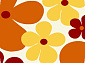 VISION DELUXE V148 CREAM-ORANGE Овал