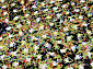 CRYSTAL C037 MULTICOLOR
