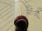 OSMANLIM CM 17 BEIGE