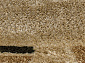 VALENCIA 5383 CREAM Овал