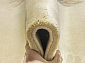 90 LINE WOOLEN HANDK-KNOTTED A-658 CREAM