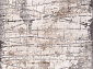 ARMINA 03802A GREY / BROWN