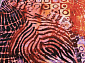 CRYSTAL 2942 MULTICOLOR