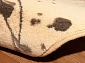  ALABASTER Kianta W linen