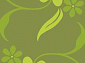 Super Vision 6206 l.green
