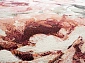 с цветами ARGENTUM 63421 7474