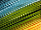 фризе MANGO 11009-130
