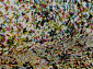 CRYSTAL C029 MULTICOLOR
