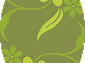  Super Vision 6206 l.green овал