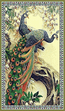 по индивидуальному проекту ПАВЛИН 