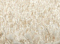 длиноворсовый Imperia 91560 Ivory
